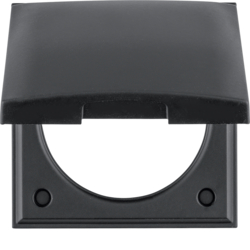 Berker 918282545, Frame, hing. cov, Flow/Pure, black, silk, 4011334337157