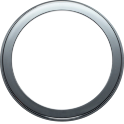 Berker 9196918, ADAPTER RING TWIN CHROME, 4011334164920