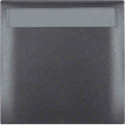 Berker 919882505, Frame 1G Hinged, Label Field Anthracite, 4011334155492