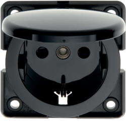 Berker 9419705, SOCK.HINGED CO.TWIN BLACK, 4011334168485