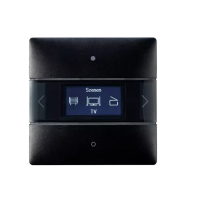 Theben 4801418, Room controller with integrated room temperature controller LUXORliving iON8 BK, 4003468480465
