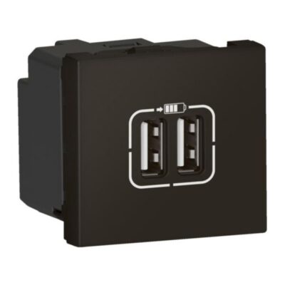 Legrand 079194L, 2USB CHARG 2M A+A 2.4A MAT BLK, 3414971637955