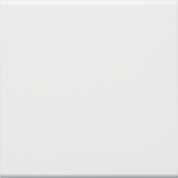 Hager GW1B9010, Wippe 1-fach f?r Schalter/Taster, f?r Ra, 4012740878319