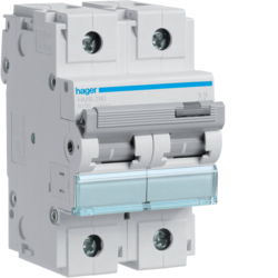 Hager HMB290, MCB 2P 15kA B-100A 3M, 3250613230050