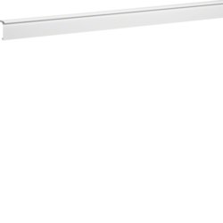 Hager Trunk. lid carpet border SL20055 p.white