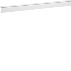 Hager Trunk. lid carpet border SL20055 tw