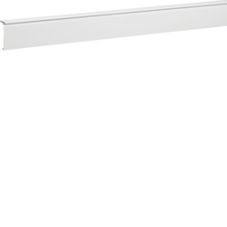 Hager Trunk. lid carpet border SL20080 p.white