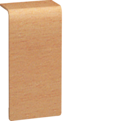 Hager Cut conceals decoration SL20055 books