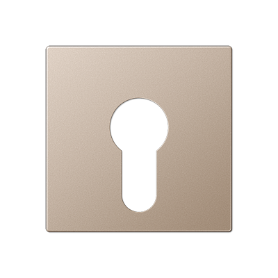 JUNG A525PLCH, cover plate f. key switch, 4011377094031