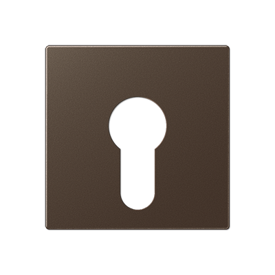 JUNG A525PLMO, cover plate f. key switch, 4011377094048