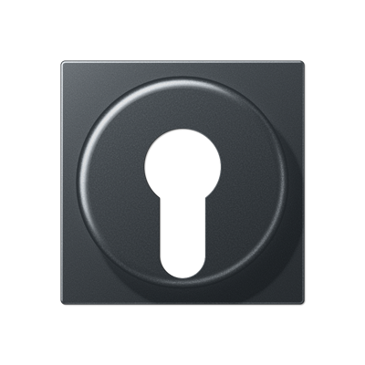 JUNG A528PLANM, centre plate, 4011377128200