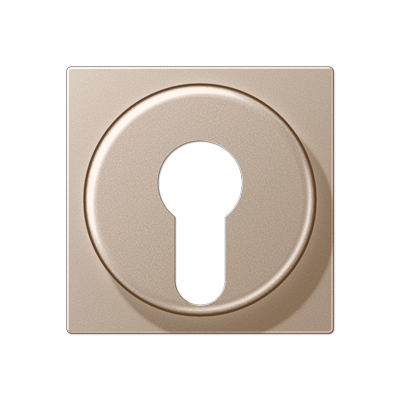 JUNG A528PLCH, cover plate f. key switch, 4011377094017