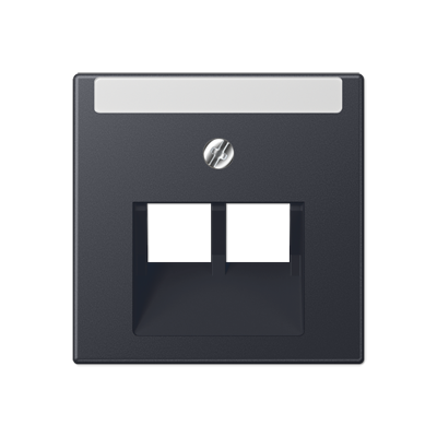 JUNG A569-2NAPLUAANM, centre plate, 4011377206465