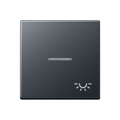 JUNG A590BFKO5LANM, rocker, 4011377127975