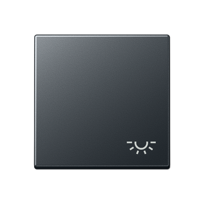 JUNG A590BFLANM, rocker, 4011377127944