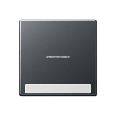 JUNG A590BFNAKO5ANM, cover Plate, 4011377191877