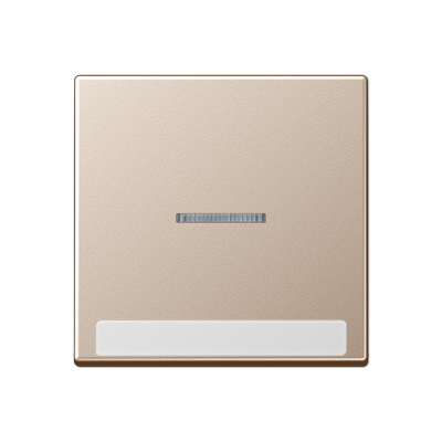 JUNG A590BFNAKO5CH, cover Plate, 4011377191853