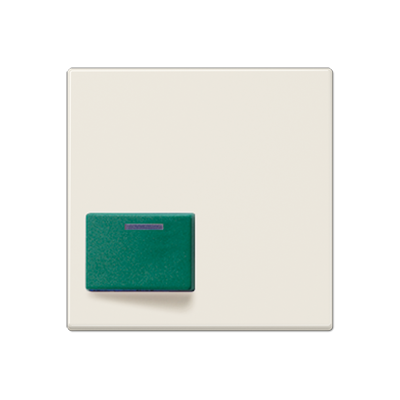 JUNG A642C, cover plate for Ackermann, 4011377997608