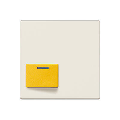 JUNG A642D, cover plate for Ackermann, 4011377997622