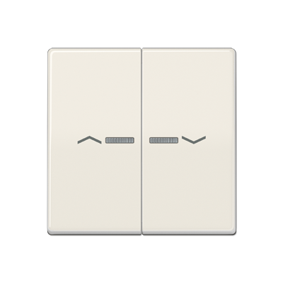 JUNG AS591-5KO5P, rocker, 4011377990760