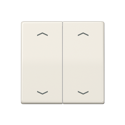 JUNG AS591-5MP, rocker, 4011377990685