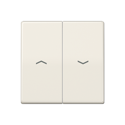 JUNG AS591-5PBF, rocker, 4011377991170