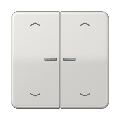 JUNG CD102KO5PLG, Rocker for push-button 2-gang, lens, arr, 4011377180970