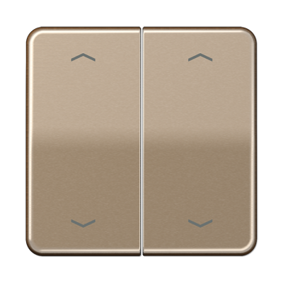 JUNG CD102PGB, Rocker for push-button 2-gang, arrows, 4011377180802