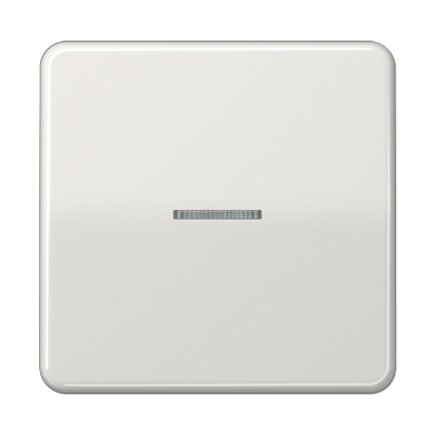 JUNG CD10911STRFLG, KNX RF centre plate 1-gang, 4011377194496