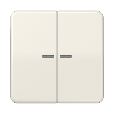 JUNG CD10921STRF, KNX RF centre plate 2-gang, 4011377194533