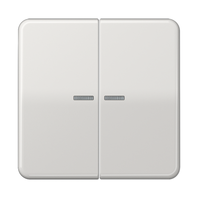 JUNG CD10921STRFLG, KNX RF centre plate 2-gang, 4011377194571