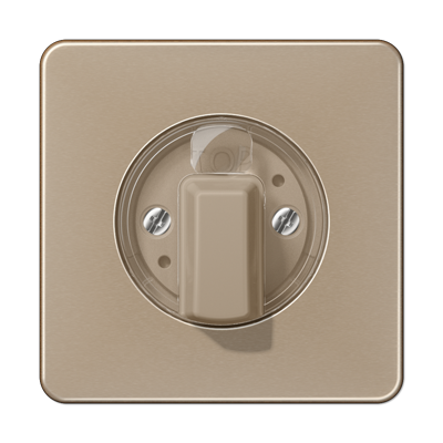 JUNG CD1541GB, centre plate, 4011377114081