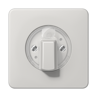 JUNG CD1541LG, centre plate, 4011377114104