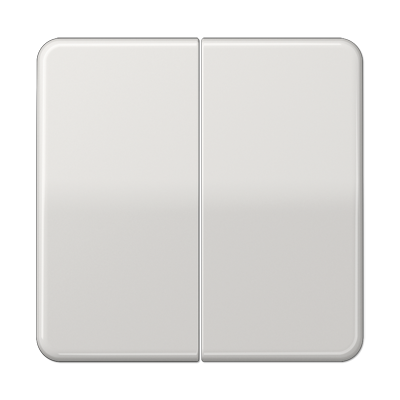 JUNG CD1565.07LG, centre plate, 4011377020504