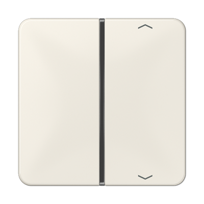 JUNG CD401TSAP, Cover 1-gang with symbols, 4011377037427