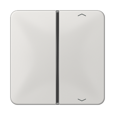 JUNG CD401TSAPLG, Cover 1-gang with symbols, 4011377037465