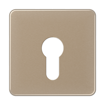 JUNG CD525GB, cover plate, 4011377052086