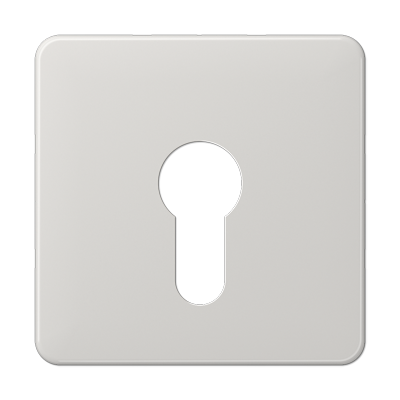 JUNG CD525LG, cover plate, 4011377043572