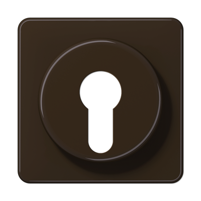 JUNG CD528BR, Cover For Key Switch, 4011377033108