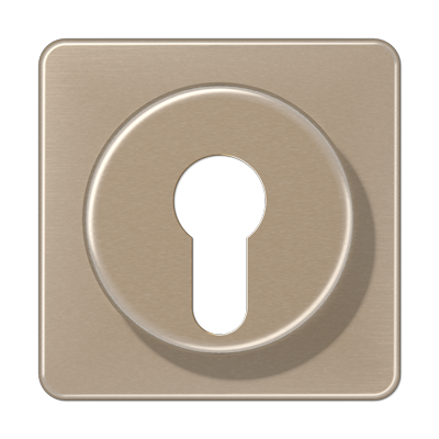 JUNG CD528GB, Cover For Key Switch, 4011377033306