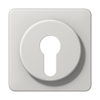 JUNG CD528LG, Cover For Key Switch, 4011377578500