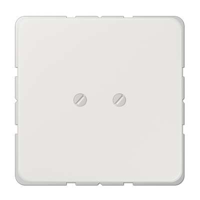 JUNG CD561BLG, Blank Plate, Light Gr, 4011377580008