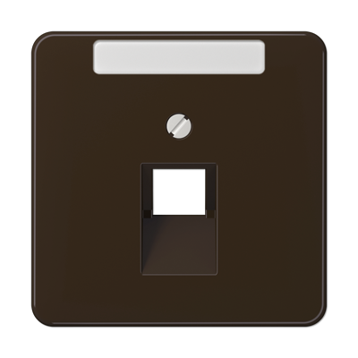 JUNG CD569-1NAUABR, center pl.f.1-gang mod. jack&inscrip.pl., 4011377684805