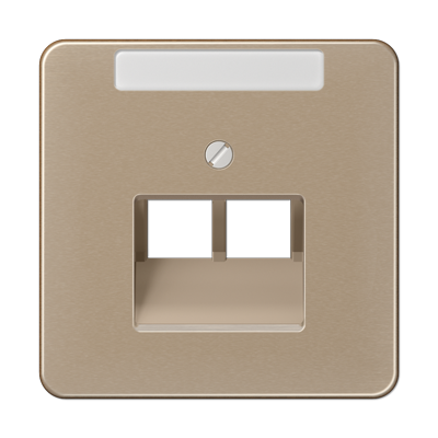 JUNG CD569-2NAUAGB, center pl.f.2-gang mod. jack&inscrip.pl., 4011377686304