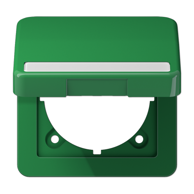 JUNG CD590BFNAKLGN, c.plate w.hinged lid/ inscrip. plate, 4011377675803