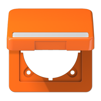 JUNG CD590BFNAKLO, c.plate w.hinged lid/ inscrip. plate, 4011377675902