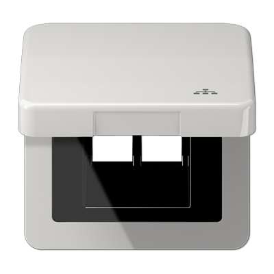 JUNG CD590KLLANLG, Hinged lid LAN with centre plate, 4011377178922