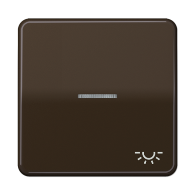 JUNG CD590KO5LBR, 1-gang rocker w.symbol light&trans. lens, 4011377253759