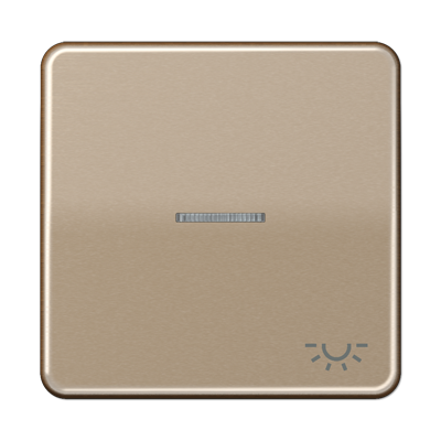 JUNG CD590KO5LGB, 1-gang rocker w.symbol light&trans. lens, 4011377254251