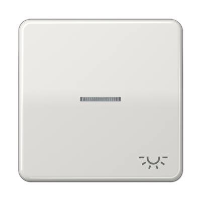 JUNG CD590KO5LLG, 1-gang rocker w.symbol light&trans. lens, 4011377253957